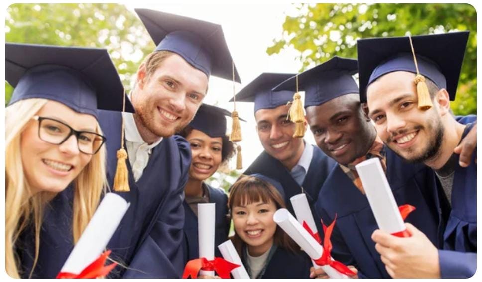 DIPLOMADOS / CURSOS: